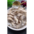 美食菜系做法11979