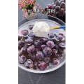 美食菜系做法12008