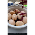 美食菜系做法12037