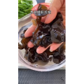 美食菜系做法12070