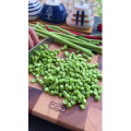 美食菜系做法12114
