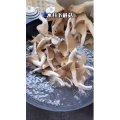美食菜系做法12232