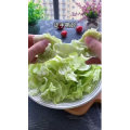美食菜系做法12242