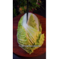 美食菜系做法12544