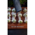 美食菜系做法12554