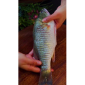 美食菜系做法12556