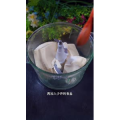 美食菜系做法12583
