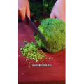 美食菜系做法12702