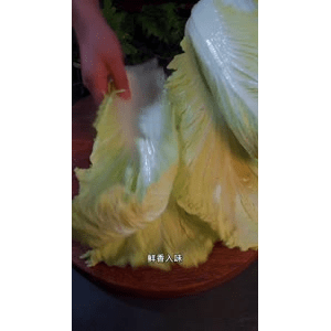 美食菜系做法12724