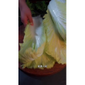 美食菜系做法12724