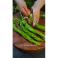 美食菜系做法12730