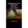 美食菜系做法12753