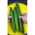 美食菜系做法12809