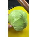 美食菜系做法12819
