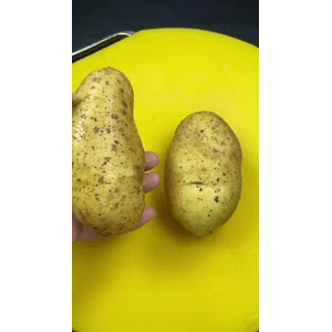 美食菜系做法12824