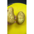 美食菜系做法12824
