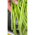 美食菜系做法12825