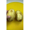 美食菜系做法12863