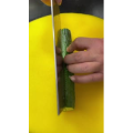 美食菜系做法12869