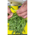 美食菜系做法12881