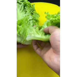 美食菜系做法12889
