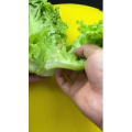 美食菜系做法12889