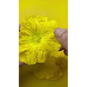 美食菜系做法12898