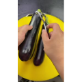 美食菜系做法12901