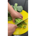 美食菜系做法12902