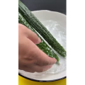 美食菜系做法12904