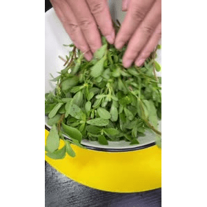 美食菜系做法12921