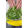 美食菜系做法12921