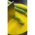 美食菜系做法12924