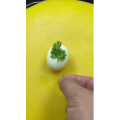 美食菜系做法12938