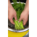 美食菜系做法12942