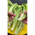 美食菜系做法12952