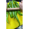 美食菜系做法12977