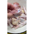 美食菜系做法12980