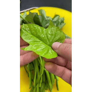 美食菜系做法12982