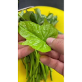 美食菜系做法12982