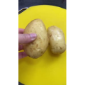 美食菜系做法12983
