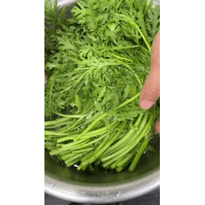 美食菜系做法12987