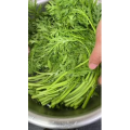 美食菜系做法12987