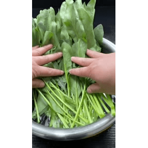 美食菜系做法13002