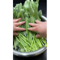 美食菜系做法13002
