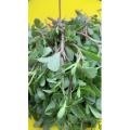 美食菜系做法13039