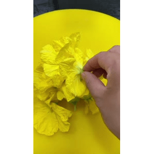 美食菜系做法13112