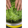 美食菜系做法13115