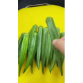 美食菜系做法13125