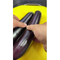 美食菜系做法13147